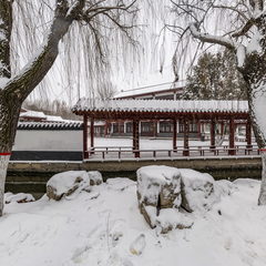 潍坊自怡园雪景 - VR全景